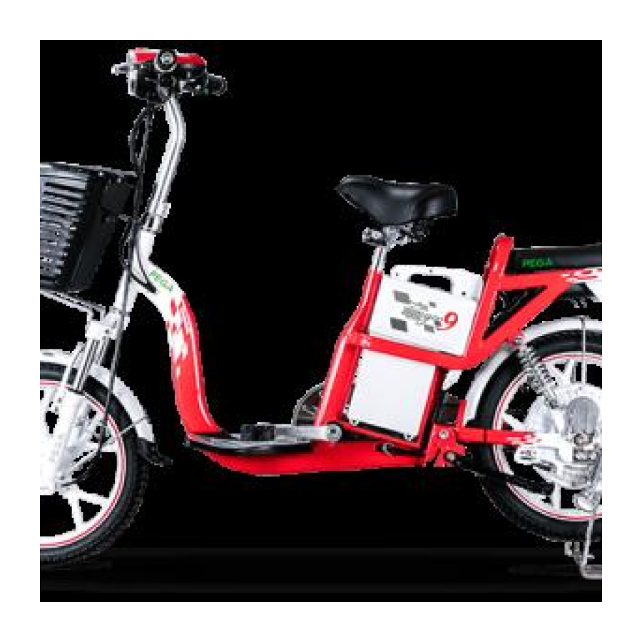 Pega Zinger Color 9
