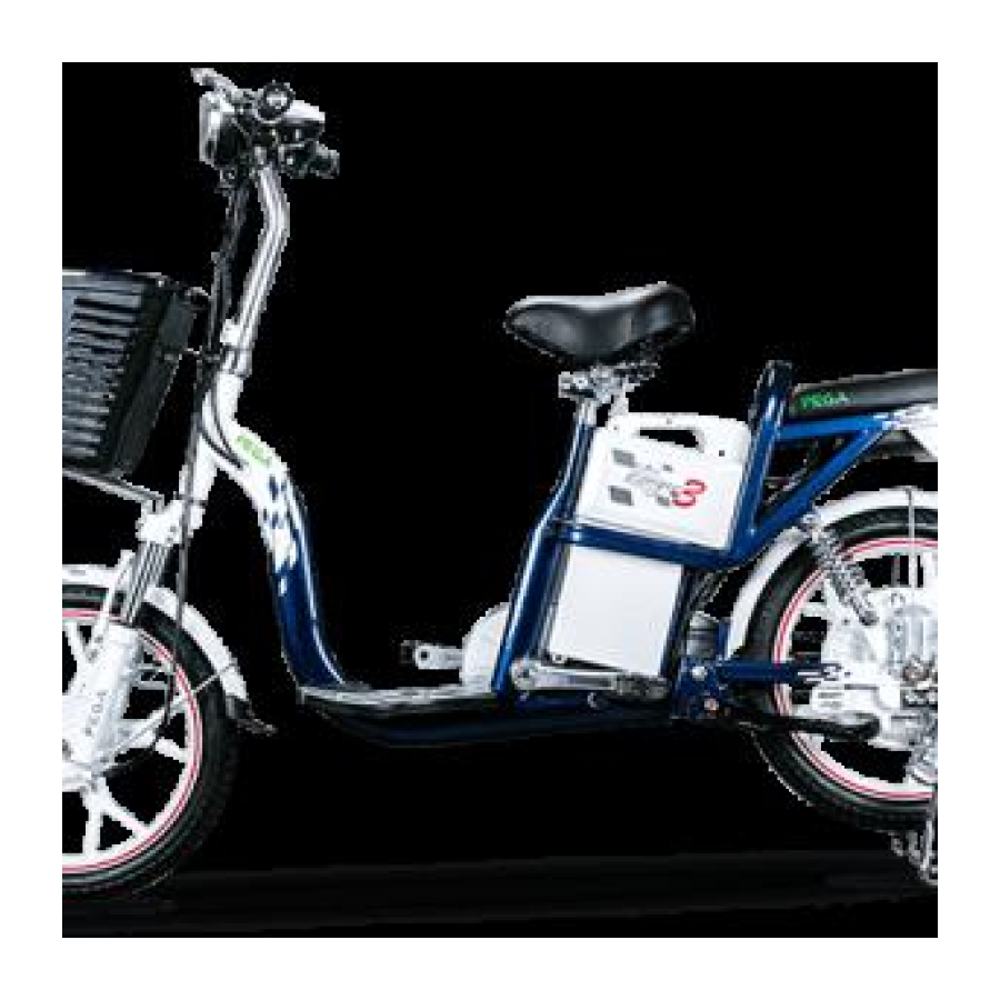 Pega Zinger Color 9